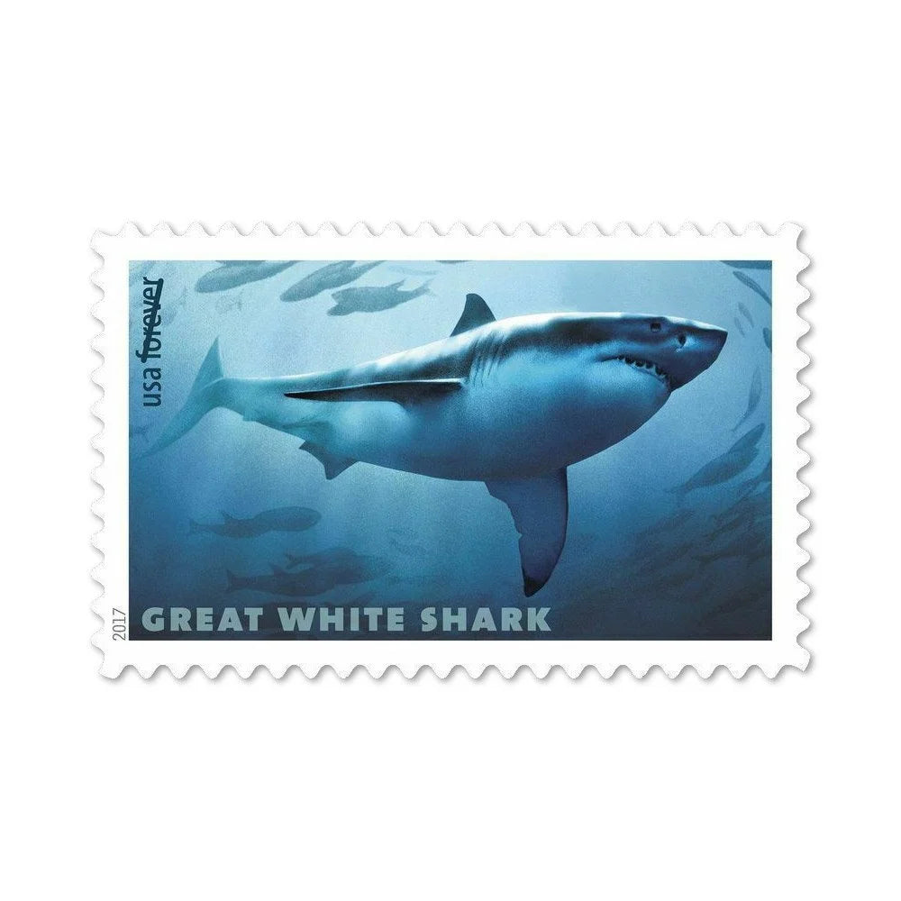 Sharks Ecotourism Conservation Preservation Ecology Nature Forever First Class Postage Stamps